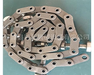 雙節距不銹鋼滾子鏈條